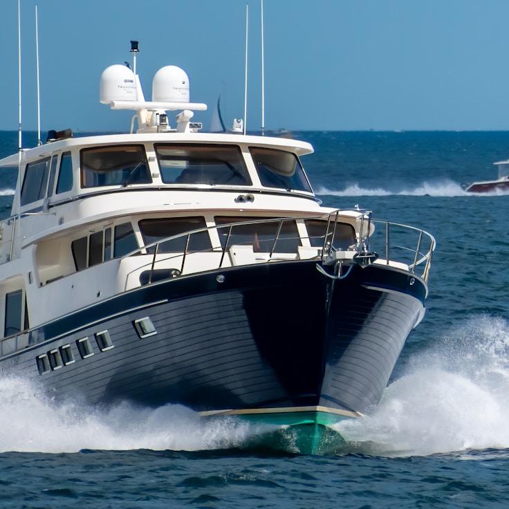 Marine lifestyle scene